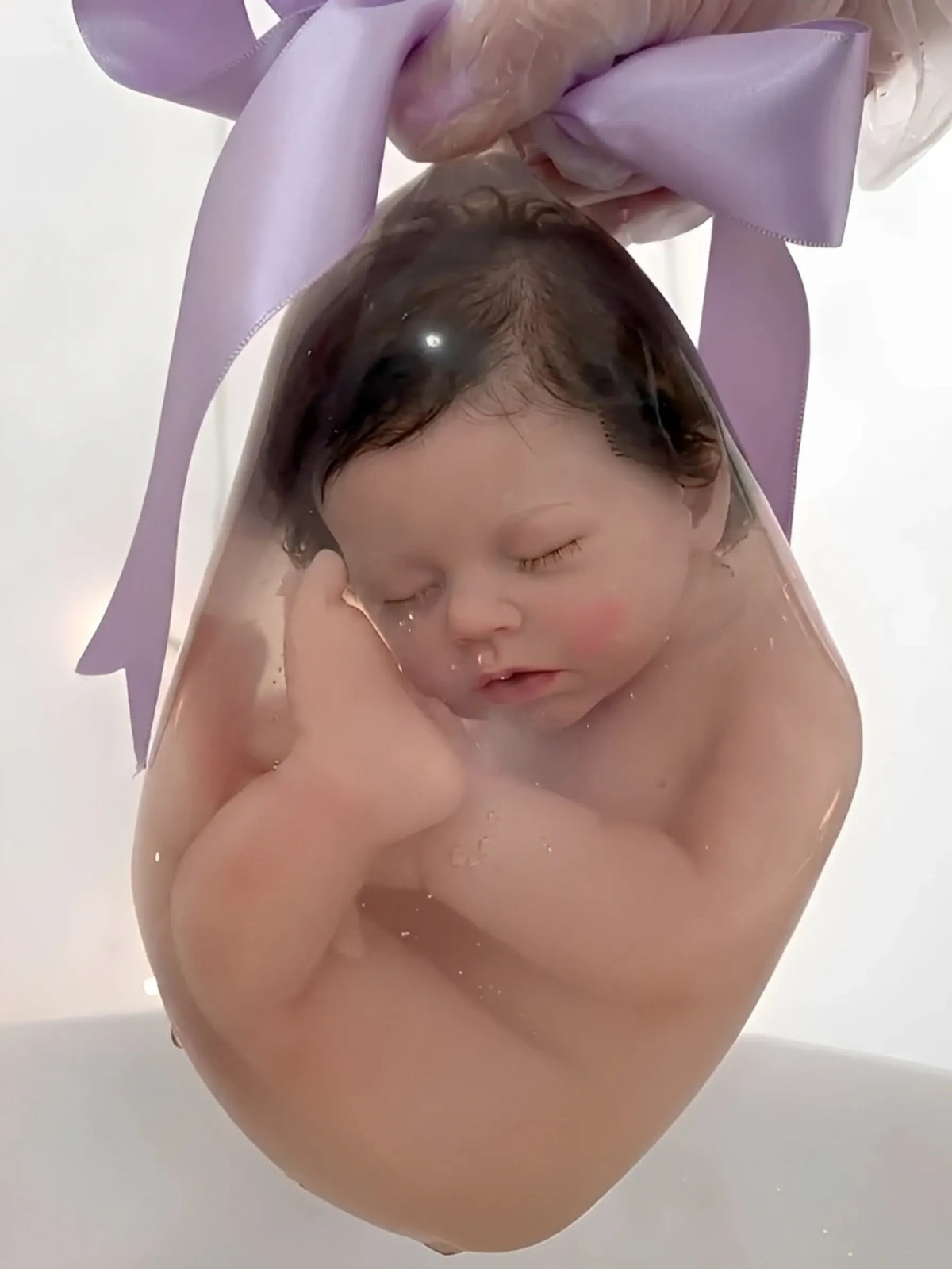 Reborn's World